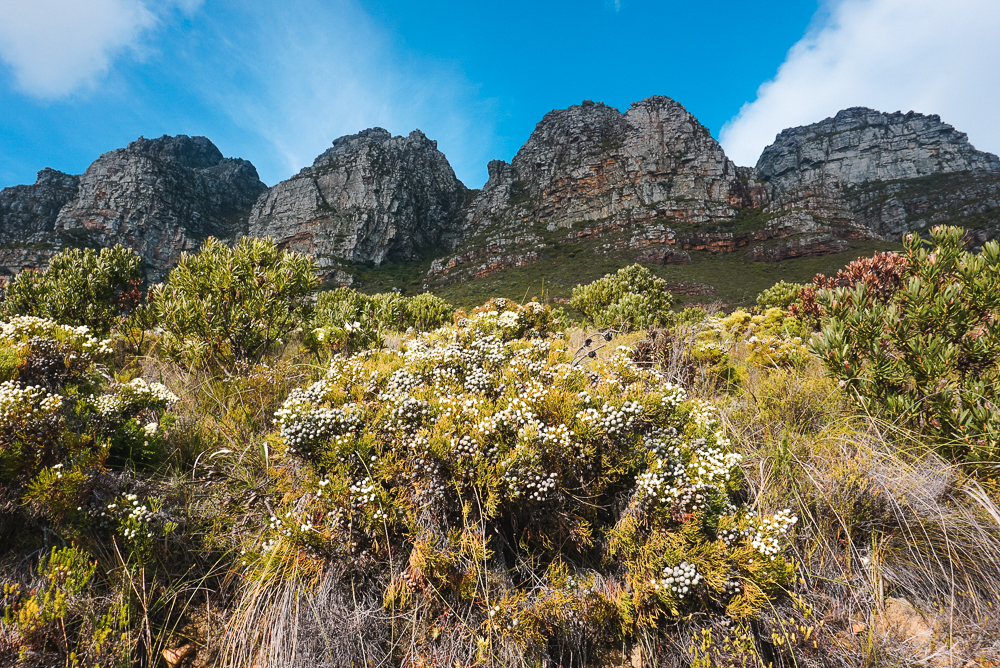 trilha na Table Mountain