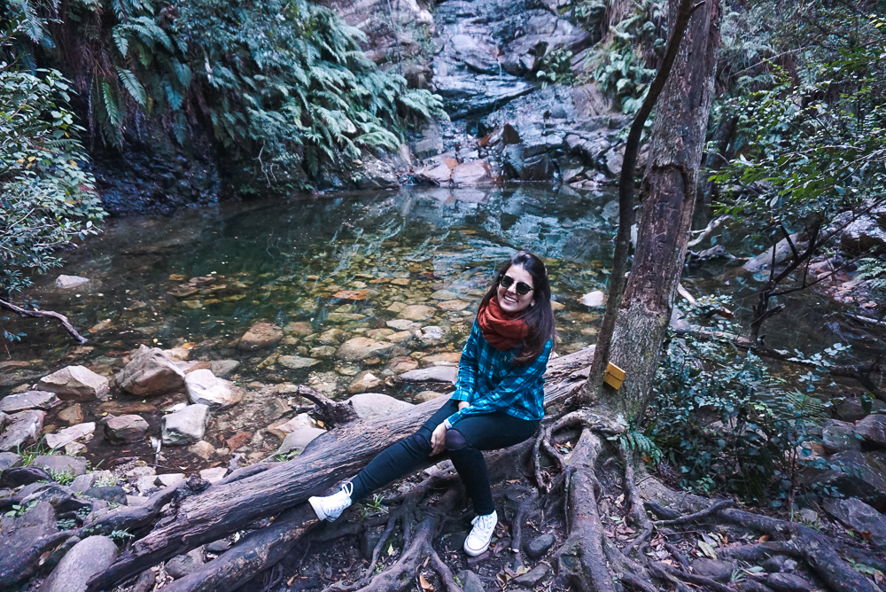 Cachoeira do WildSpirit Hostel