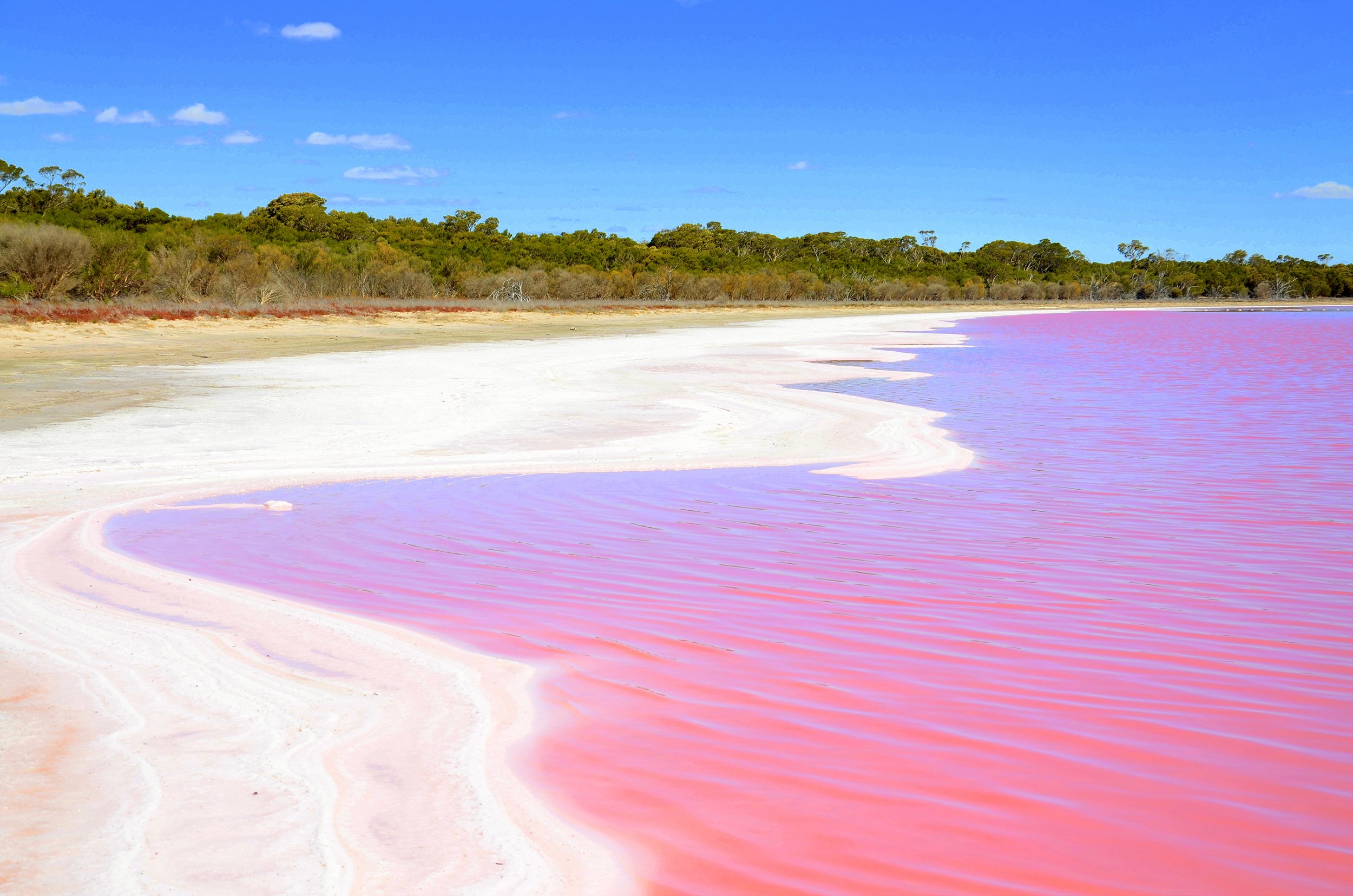 Conheça o lago cor de rosa na Austrália