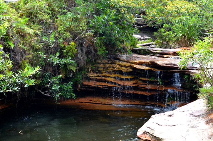 Cachoeira Águas Claras: uma trilha imperdível no Vale do Capão