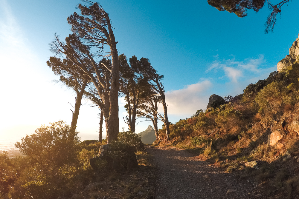 trilha na Table Mountain