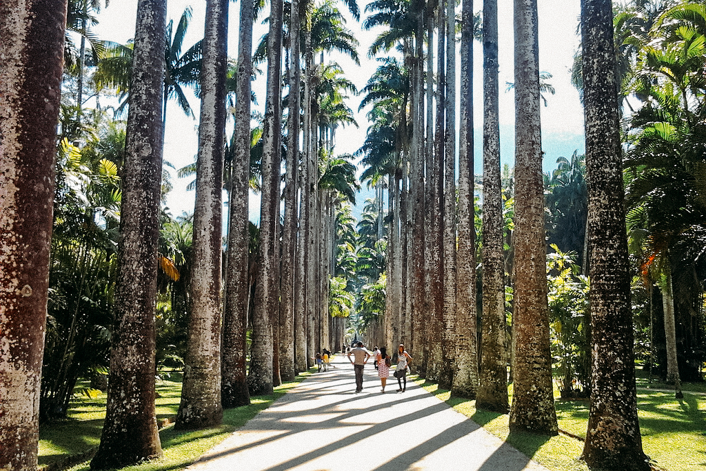 O que fazer no Jardim Botânico (Rio de Janeiro): 8 ...