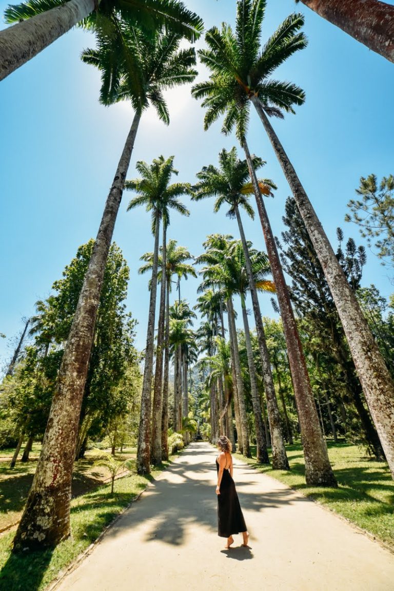 O Que Fazer No Jardim Botânico Passeios E Dicas Pelo Bairro 5559