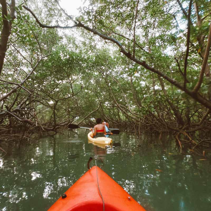 O que fazer em boipeba caiaque no mangue