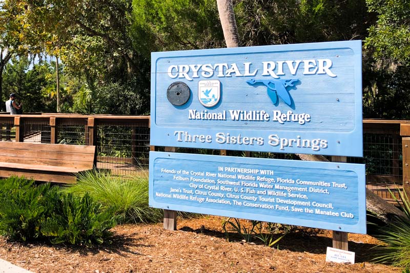 Crystal River: águas azuis e mergulho com peixes-boi a 2h de Orlando