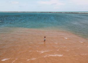 Tudo sobre a Praia do Gunga em Alagoas: as MELHORES DICAS