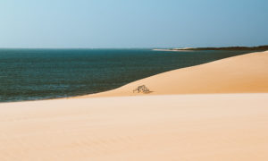 ilha das canárias maranhão