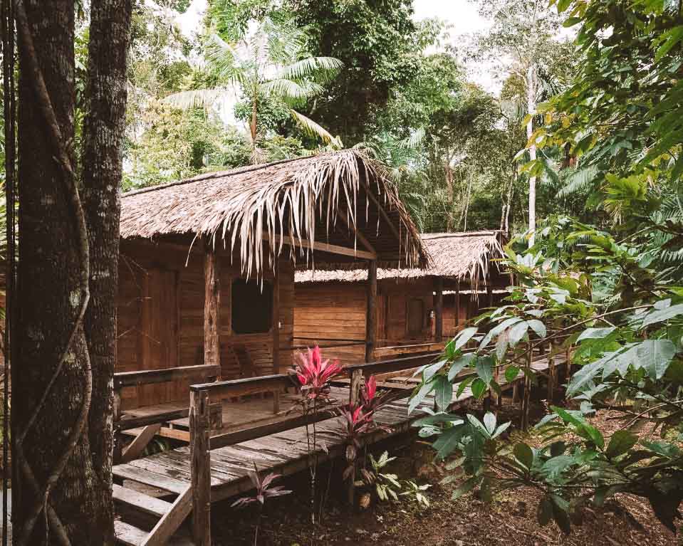 hoteis de selva em Manaus Dolphin Lodge