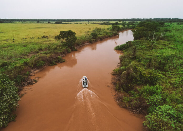 Turismo No Pantanal: Descubra Como Visitar O Pantanal