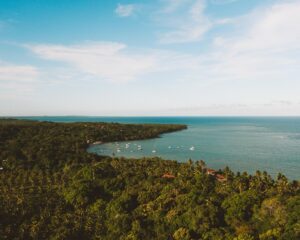 Moreré, Bahia: guia completo para planejar sua viagem para a vila mais charmosa de Boipeba